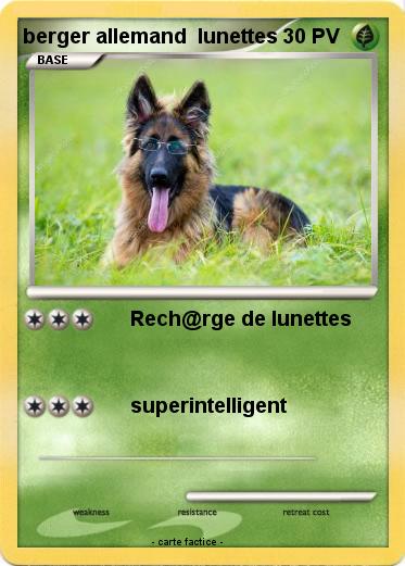 Pokemon berger allemand  lunettes