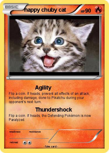 Pokemon happy chuby cat