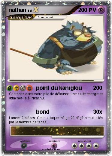Pokemon nathan
