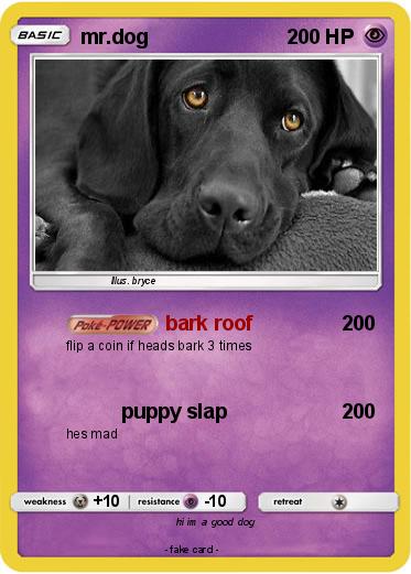 Pokemon mr.dog