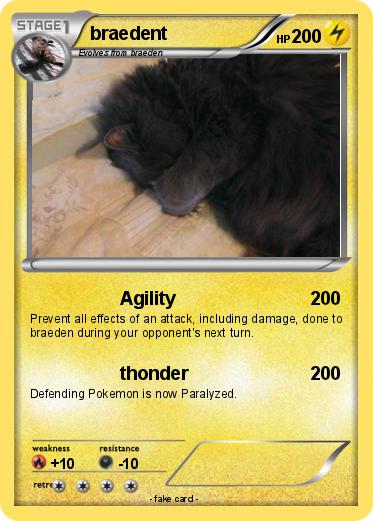 Pokemon braedent