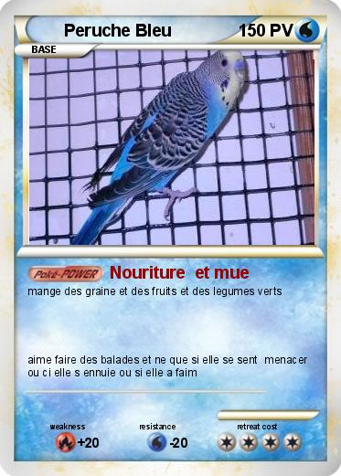 Pokemon Peruche Bleu