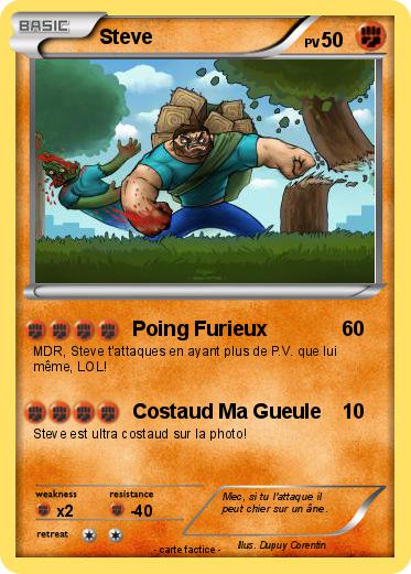 Pokemon Steve