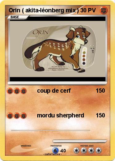 Pokemon Orin ( akita-léonberg mix )