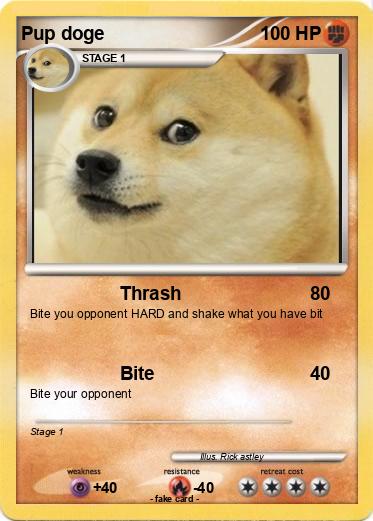 Pokemon Pup doge