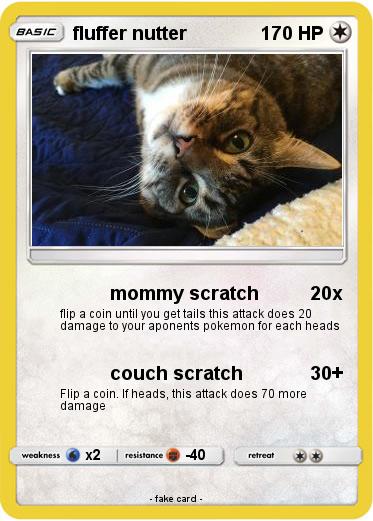 Pokemon fluffer nutter