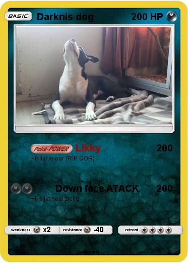Pokemon Darknis dog