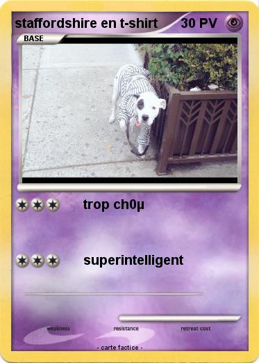 Pokemon staffordshire en t-shirt