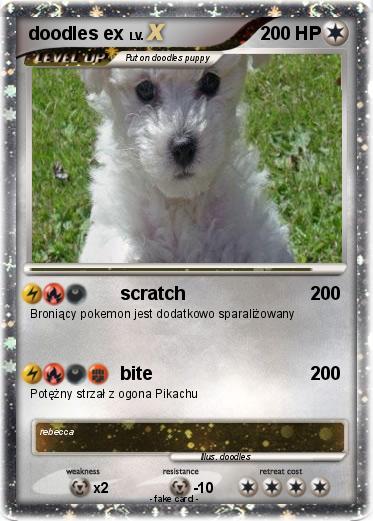 Pokemon doodles ex