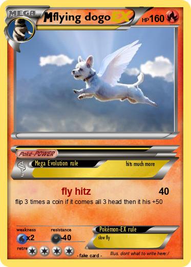 Pokemon flying dogo
