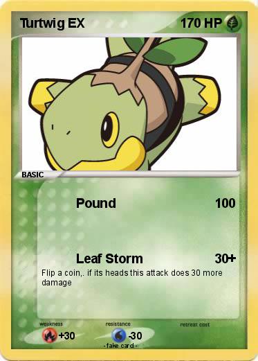 Pokemon Turtwig EX