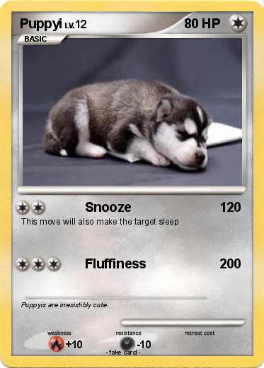 Pokemon Puppyi