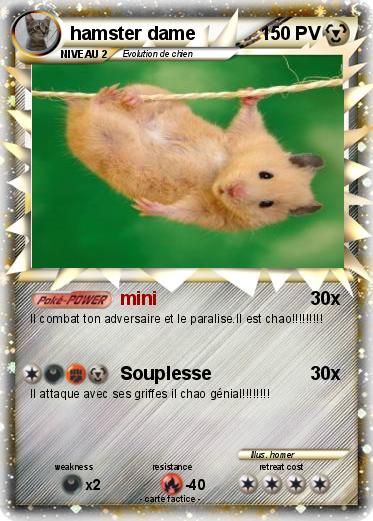 Pokemon hamster dame