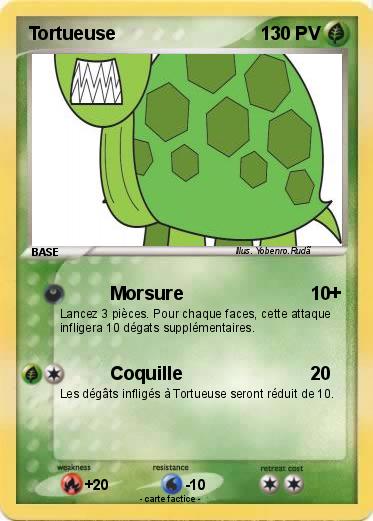 Pokemon Tortueuse