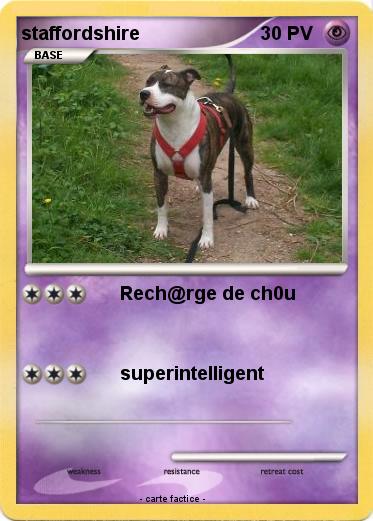 Pokemon staffordshire
