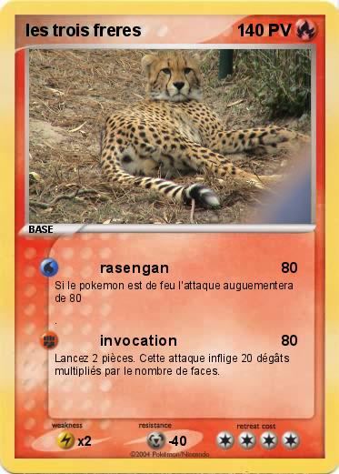 Pokemon les trois freres