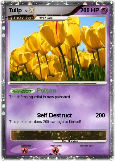 Pokemon Tulip