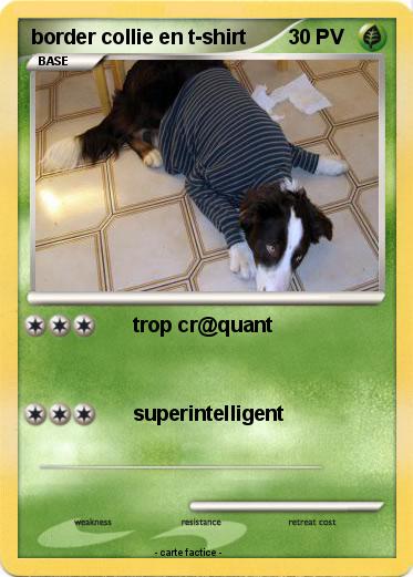 Pokemon border collie en t-shirt