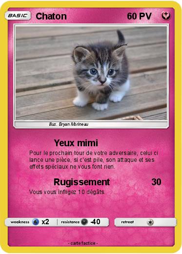 Pokemon Chaton