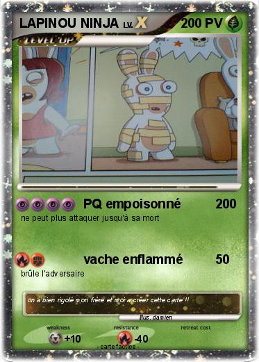 Pokemon LAPINOU NINJA
