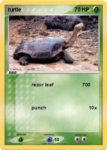 Pokemon turtle