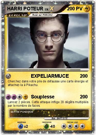 Pokemon HARRI POTEUR