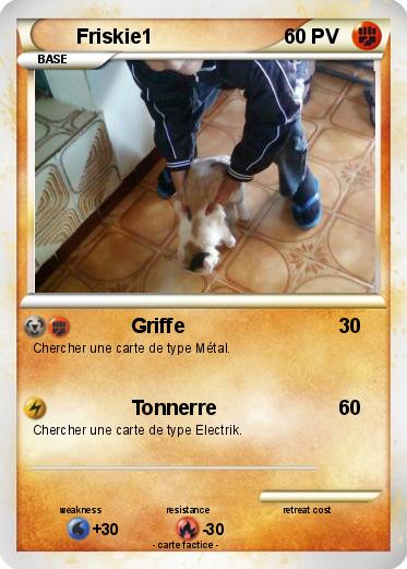 Pokemon Friskie1