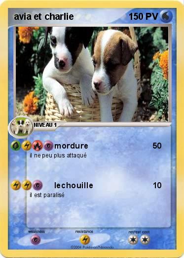 Pokemon avia et charlie