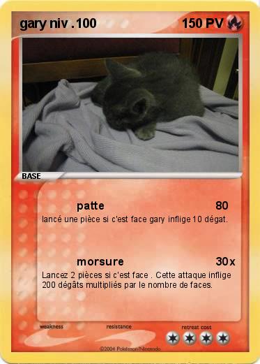 Pokemon gary niv .100