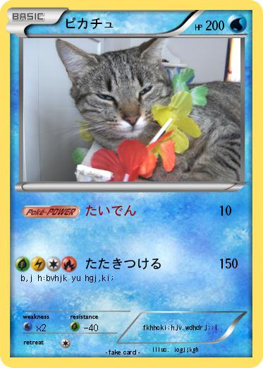 Pokemon ピカチュ