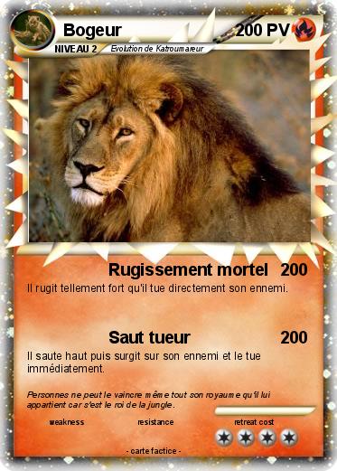 Pokemon Bogeur