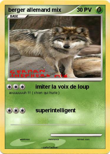 Pokemon berger allemand mix