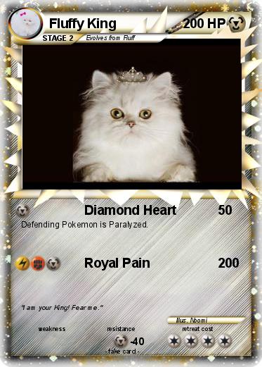Pokemon Fluffy King