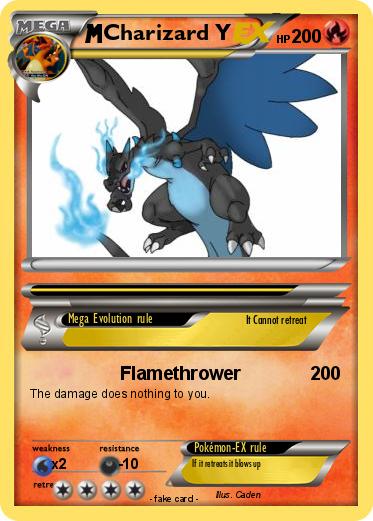 Pokemon Charizard Y