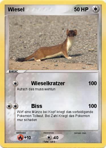 Pokemon Wiesel