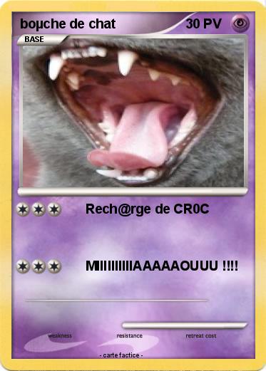 Pokemon boµche de chat