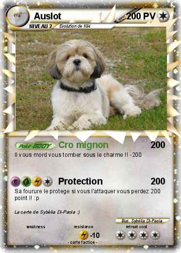 Pokemon Auslot