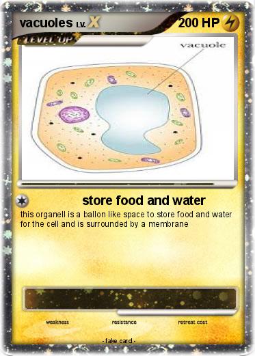 Pokemon vacuoles