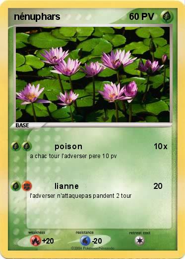 Pokemon nénuphars