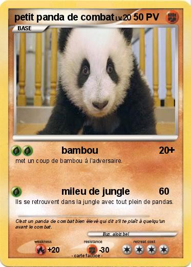 Pokemon petit panda de combat