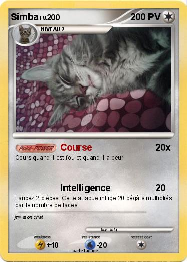 Pokemon Simba