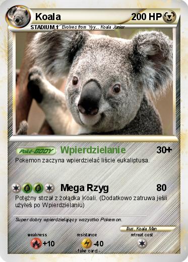 Pokemon Koala