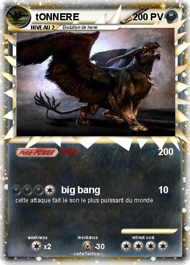 Pokemon tONNERE