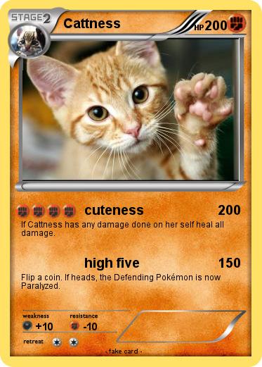 Pokemon Cattness