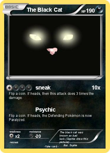 Pokemon The Black Cat