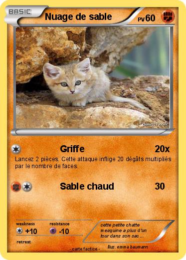 Pokemon Nuage de sable