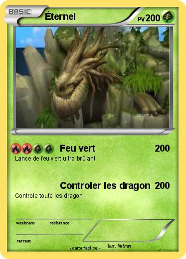 Pokemon Éternel