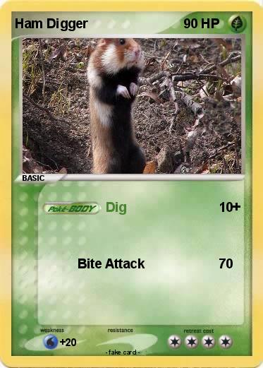 Pokemon Ham Digger