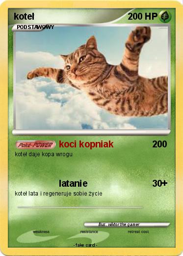 Pokemon koteł