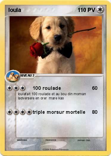 Pokemon loula